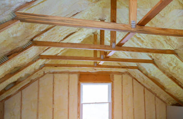 Best Insulation Maintenance and Repair in Sudan, TX